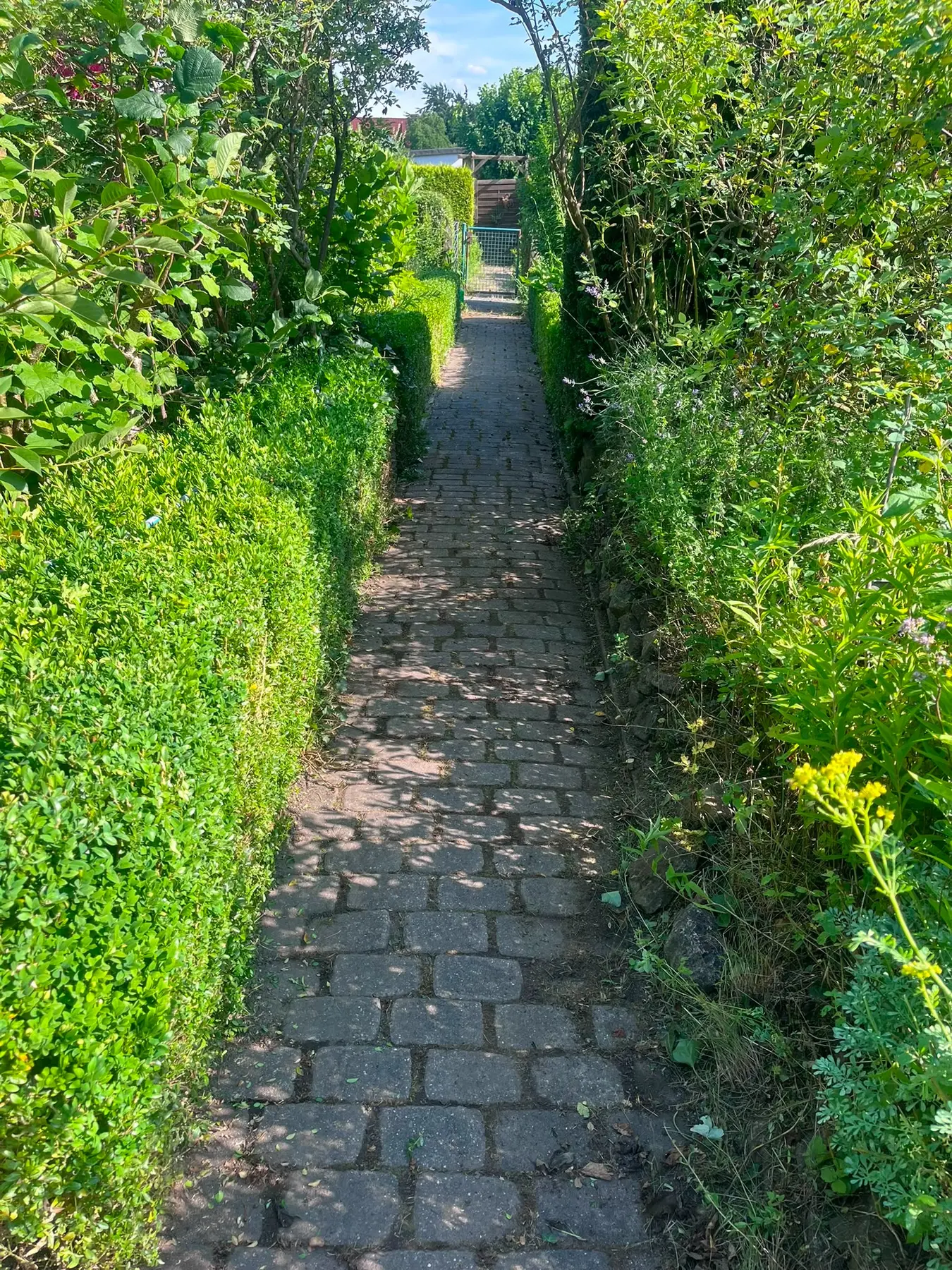 Freigestellter Gartenweg nach der Gartenpflege